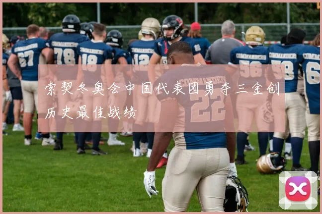 索契冬奥会中国代表团勇夺三金创历史最佳战绩