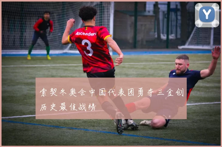 索契冬奥会中国代表团勇夺三金创历史最佳战绩