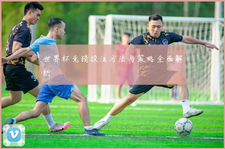 世界杯竞猜投注方法与策略全面解析