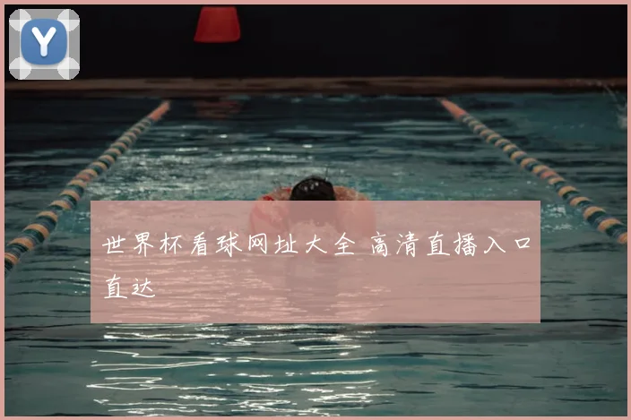 世界杯看球网址大全 高清直播入口直达
