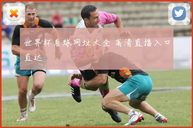 世界杯看球网址大全 高清直播入口直达